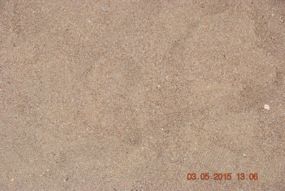 imagini hotel ROYAL HOLIDAY PALACE LARA